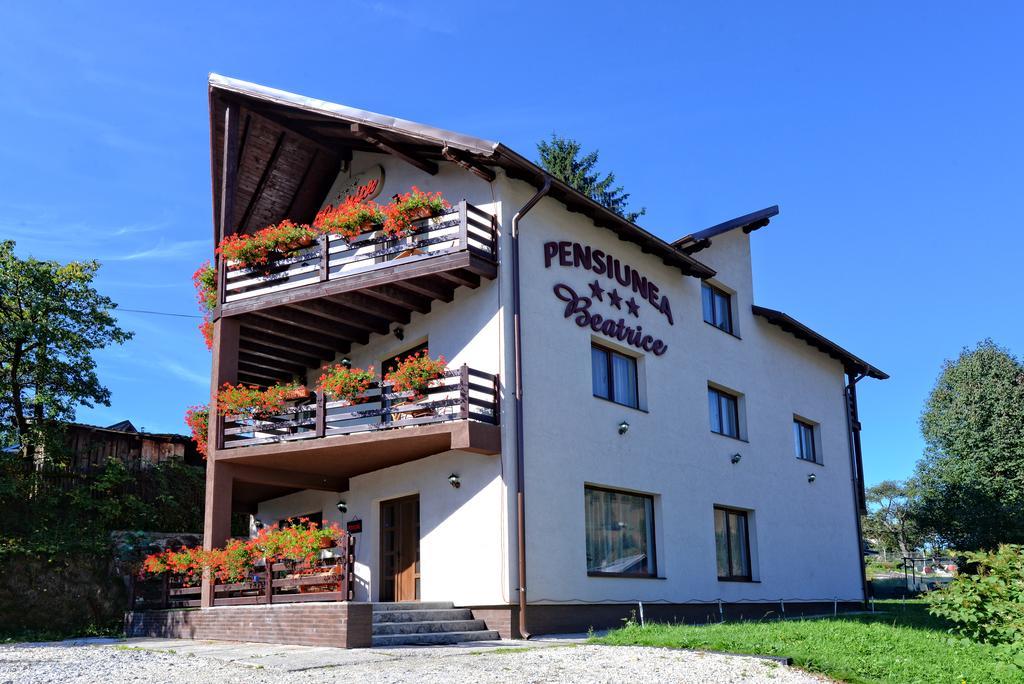 Pensiunea Beatrice Vatra Dornei Buitenkant foto