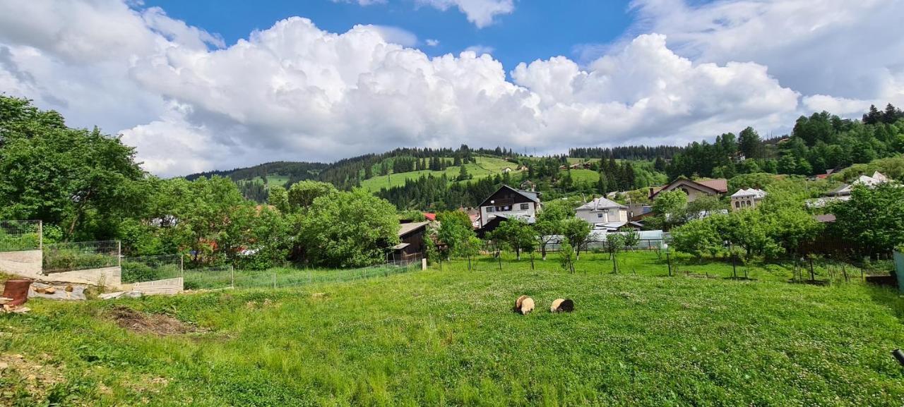 Pensiunea Beatrice Vatra Dornei Buitenkant foto